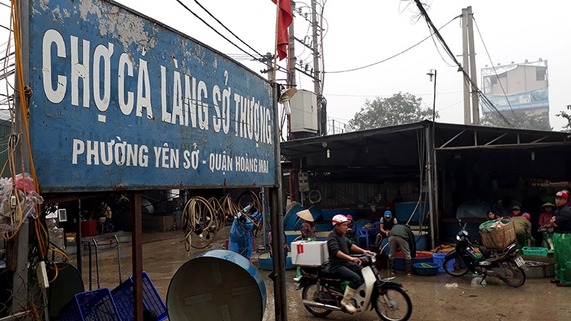 thu tram trieu mot ngay nho ban “phuong tien” cho ong cong, ong tao ve troi hinh anh 1