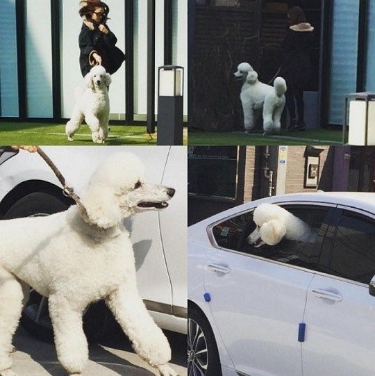 Kim Tae Hee và Bi Rain: 5 năm vượt qua những cơn sóng “ngầm” để đến bến bờ hạnh phúc - Ảnh 5.