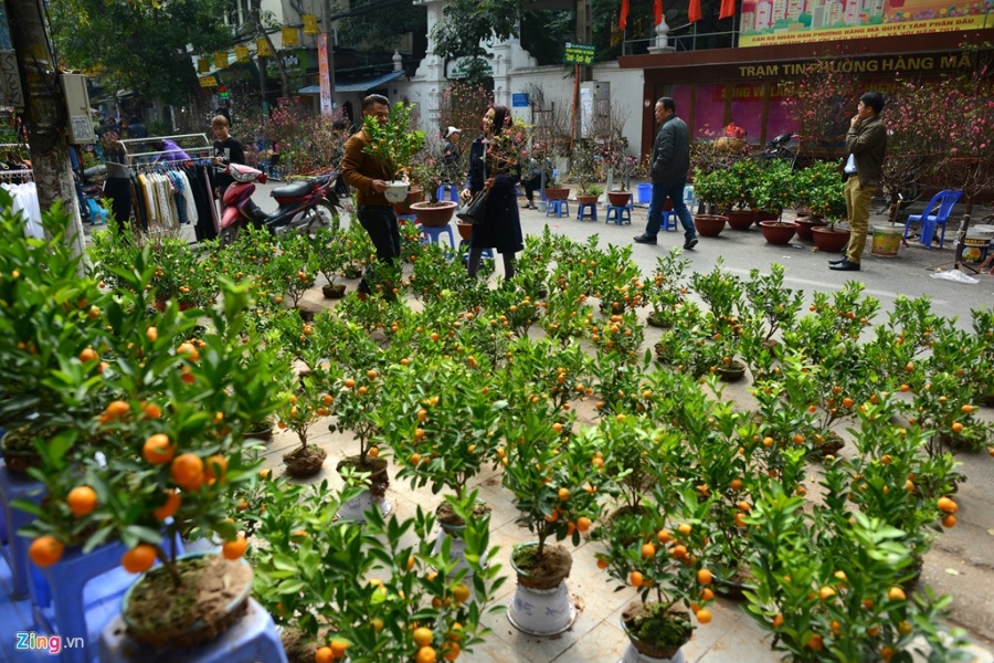 Cap ga dong gia co duoc rao ban gia 35 trieu dong hinh anh 13