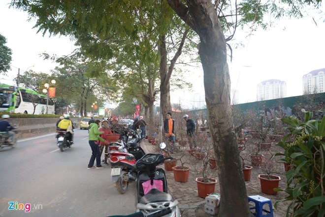 Cho Tet Ha Noi: Dao rung hut khach, mai vang diu hiu hinh anh 1