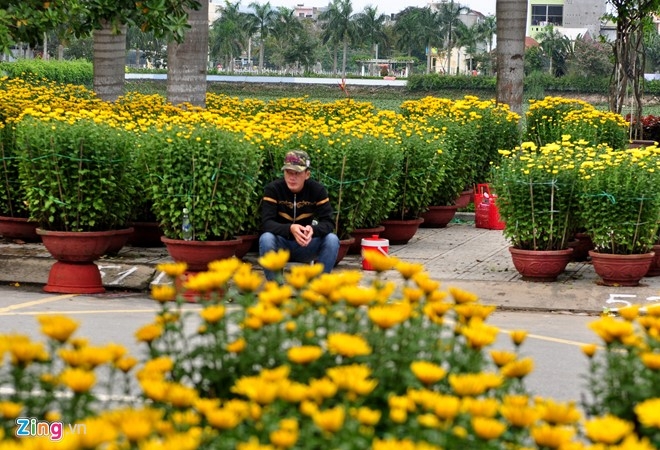 Hoa Tet e am, nong dan Quang Ngai 'do khoc do meu' hinh anh 1
