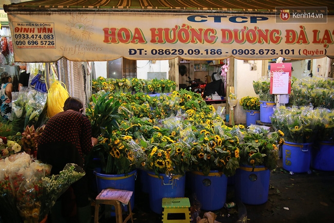 Khuya 29 Tết, hàng nghìn người và xe cộ vẫn đang chen chúc ở chợ hoa lớn nhất Sài Gòn - Ảnh 13.