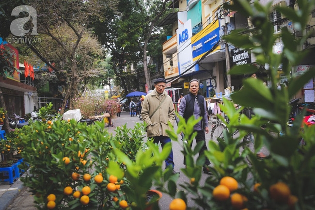 Những khoảnh khắc ngọt ngào ấm áp trong ngày cuối cùng của năm trước lúc giao thừa - Ảnh 15. Những khoảnh khắc ngọt ngào ấm áp trong ngày cuối cùng của năm trước lúc giao thừa - Ảnh 15.