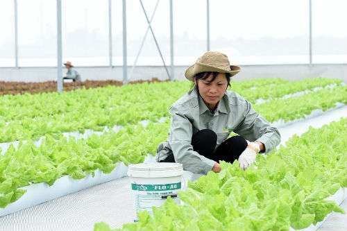 thu-tuong-muon-co-goi-tin-dung-100000-ty-dong-cho-nong-nghiep-cong-nghe-cao-1