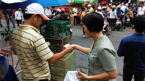 TPHCM: Chen chân đi lễ chùa, bãi giữ xe mọc như nấm ảnh 11