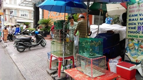 TPHCM: Chen chân đi lễ chùa, bãi giữ xe mọc như nấm ảnh 12