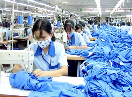 Đến 2015, cơ quan BHXH chưa có thẩm quyền để xử phạt các đơn vị, doanh nghiệp vi phạm pháp luật về BHXH