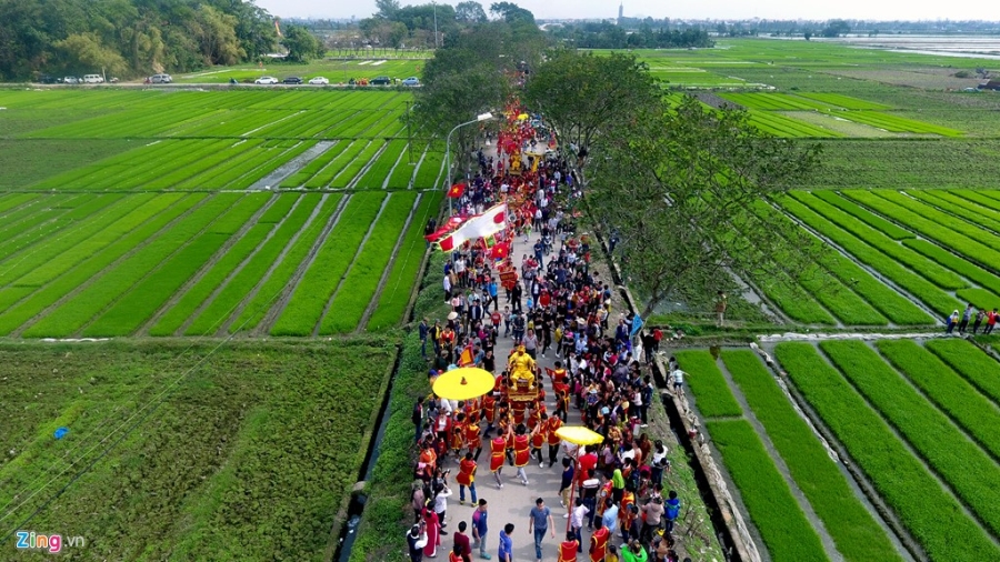 Canh ruoc vua gia doc dao o Ha Noi hinh anh 2