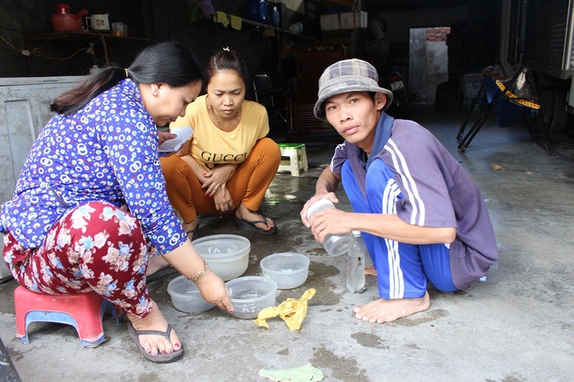 Một thương lái đang thu mua tôm hùm nhí cho ngư dân ở Nha Trang, hôm 6/2