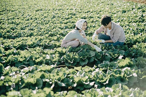 yeu nhau, anh dat em ra vuon rau...chup anh cuoi va san pham thi dep mien che - 2