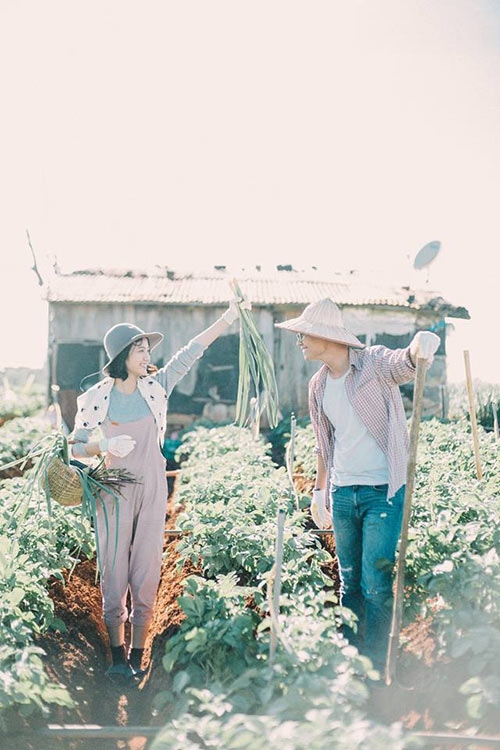 yeu nhau, anh dat em ra vuon rau...chup anh cuoi va san pham thi dep mien che - 11