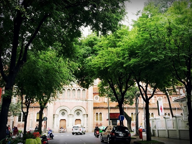 TP.HCM se co con duong am nhac danh cho nguoi dan hinh anh 1