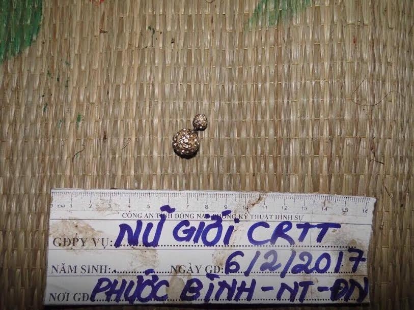 xac dinh hai nghi can sat hai nguoi phu nu bo trong bao tai hinh anh 2