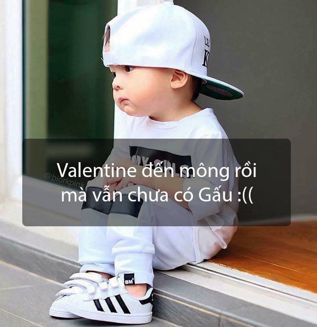 Mình đáng yêu như thế này mà lại không có gấu sao?