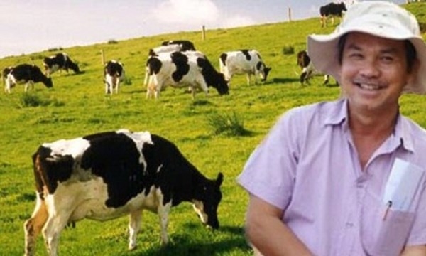 Doanh thu bán bò của HAGL tăng mạnh trong năm 2016, song không thể cứu tập đoàn thoát lỗ.
