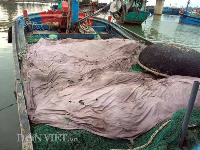 bun “la” lam hai ngu dan quang tri hinh anh 1
