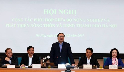Hà Nội muốn xây chợ đầu mối 250 triệu USD kiểm soát thực phẩm ảnh 1