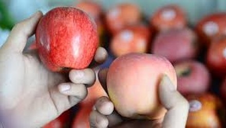 Image result for Tịch thu trái cây Trung Quốc rồi đem bán sung công quỹ