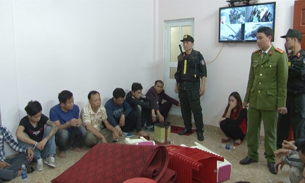 Triet pha soi bac cuc lon o Ninh Binh hinh anh 1