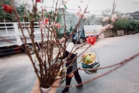 Gặp bà tình cờ trên đường đi lang thang ở Đà Lạt, bà đi mua giấy vụn, đang trên đường về. Tôi theo bà gần 2km, bà len lỏi qua các góc hẻm, các con đường để nhặt giấy và mua của các nhà dân.