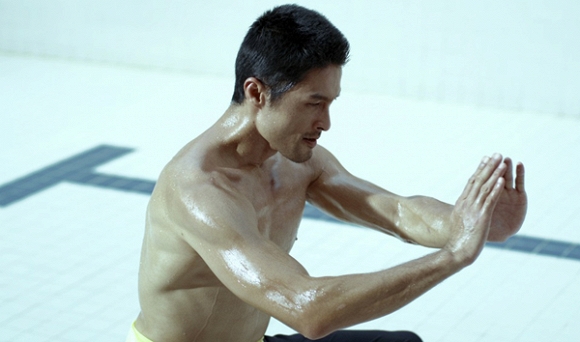 Lý Hùng, Johnny Trí Nguyễn, Dustin Nguyễn, sao Việt