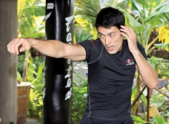 Lý Hùng, Johnny Trí Nguyễn, Dustin Nguyễn, sao Việt