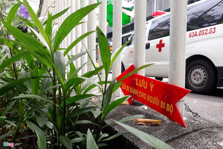 Dải phân cách vỉa hè như chuồng thú ở Sài Gòn hình ảnh 11 Dai phan cach via he nhu chuong thu o Sai Gon hinh anh 11
