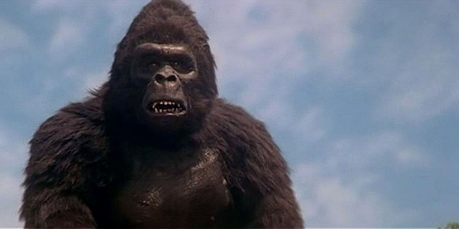 Truoc khi 'den' Viet Nam, King Kong thay doi nhu the nao? hinh anh 4