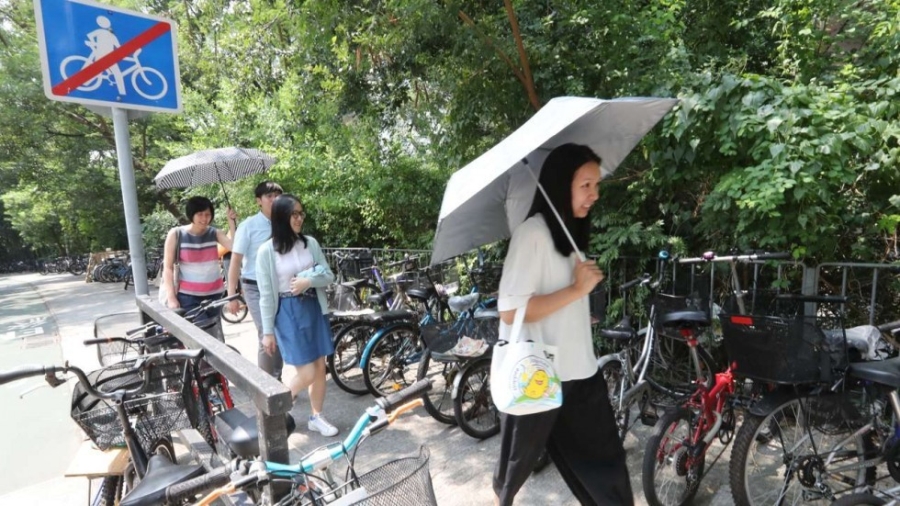 Cac nuoc the gioi dep van nan lan chiem via he ra sao? hinh anh 4