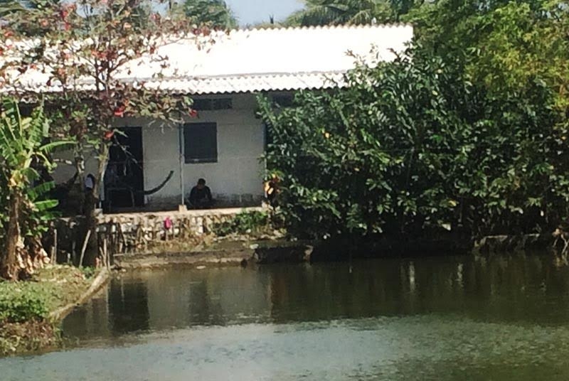 tự sát, bán cà phê, làm ăn thua lỗ, mâu thuẫn gia đình,