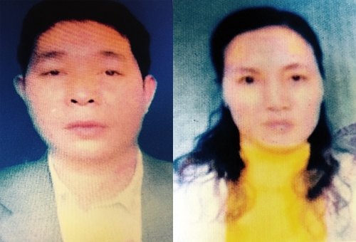 Hai vợ chồng Tý, Thanh. 