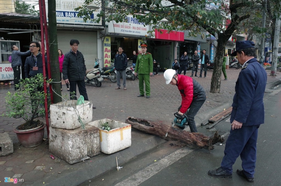 Ha Noi ra quan dep via he quy mo lon hinh anh 1
