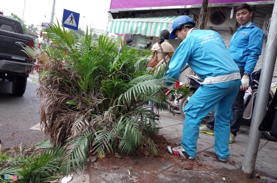 Ha Noi ra quan dep via he quy mo lon hinh anh 11