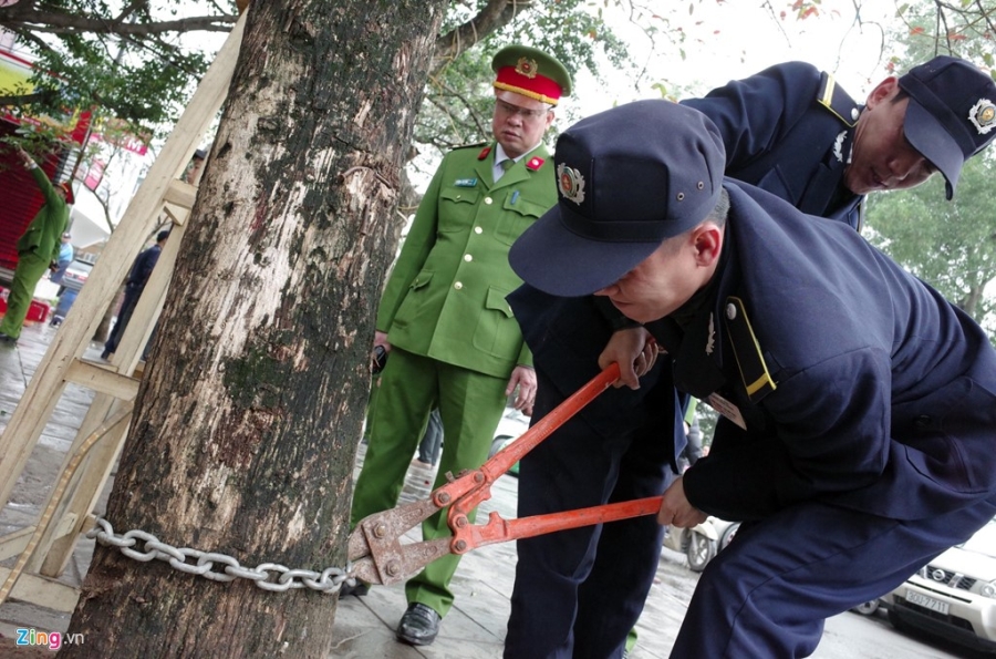 Ha Noi ra quan dep via he quy mo lon hinh anh 12