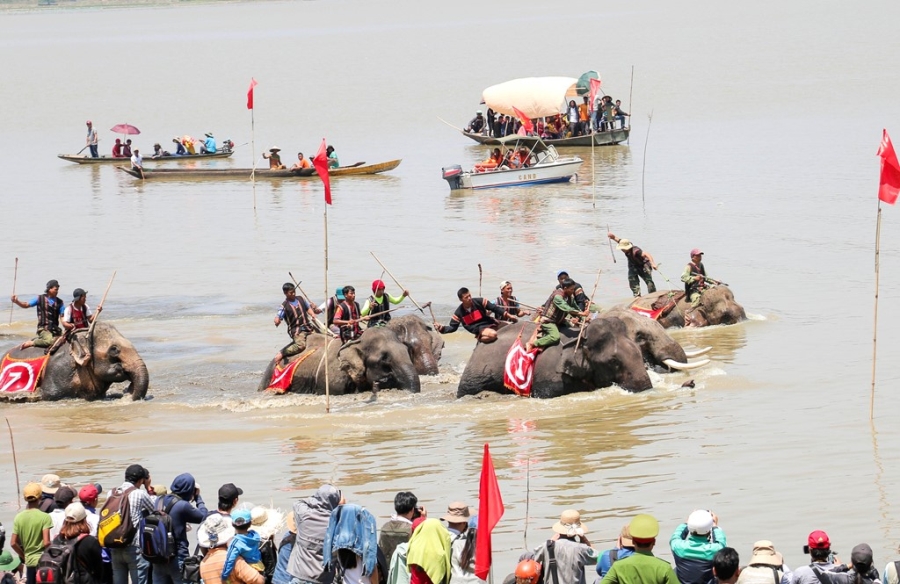 Hang nghin nguoi doi nang xem dua voi hinh anh 12