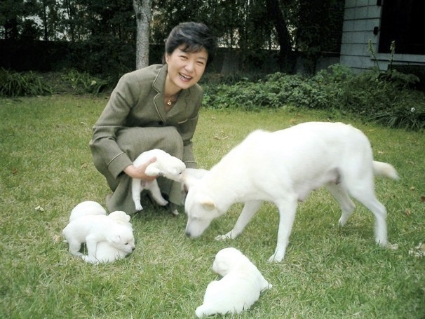 Cuu tong thong Han Quoc bi khieu nai vi bo lai cho o Nha Xanh hinh anh 1
