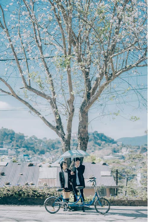 ngo ngang bo anh chup o da lat lang man hon ca phim han hinh anh 5