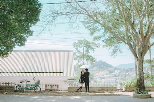 ngo ngang bo anh chup o da lat lang man hon ca phim han hinh anh 12