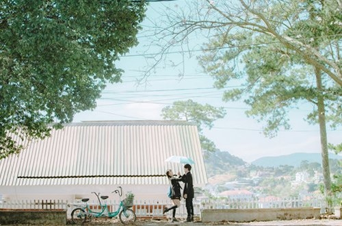 ngo ngang bo anh chup o da lat lang man hon ca phim han hinh anh 13