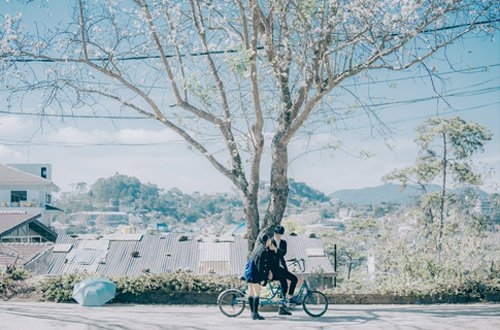 ngo ngang bo anh chup o da lat lang man hon ca phim han hinh anh 14