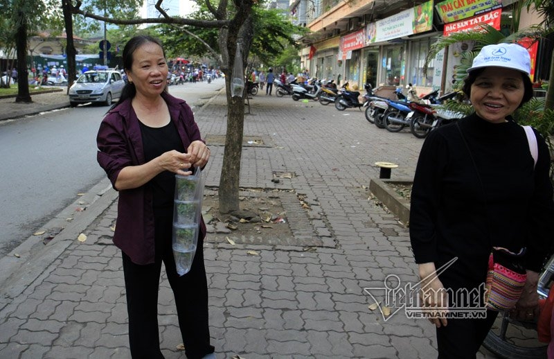 Hà Nội, vỉa hè, dẹp vỉa hè, bán hàng trên cây, vỉa hè Hà Nội