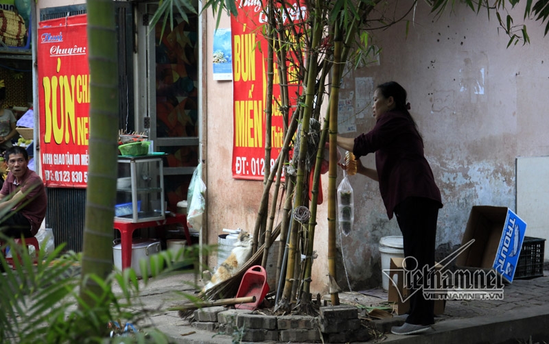 Hà Nội, vỉa hè, dẹp vỉa hè, bán hàng trên cây, vỉa hè Hà Nội