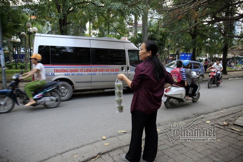 Hà Nội, vỉa hè, dẹp vỉa hè, bán hàng trên cây, vỉa hè Hà Nội