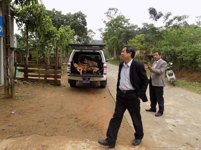 trung tam y te du phong huyen tuyen hoa dung xe cong cho go lau? hinh anh 1