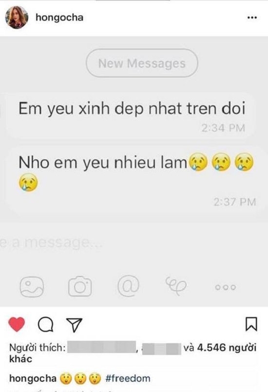 Hồ Ngọc Hà, Hà Hồ, Hạ Vi, Cường Đô la, Hạ Vi, tin tức giải trí, tin tức sao việt