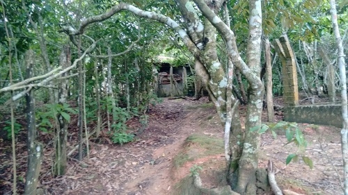 giai-cuu-nguoi-bi-gia-dinh-giam-cam-16-nam-vi-mang-thai-1