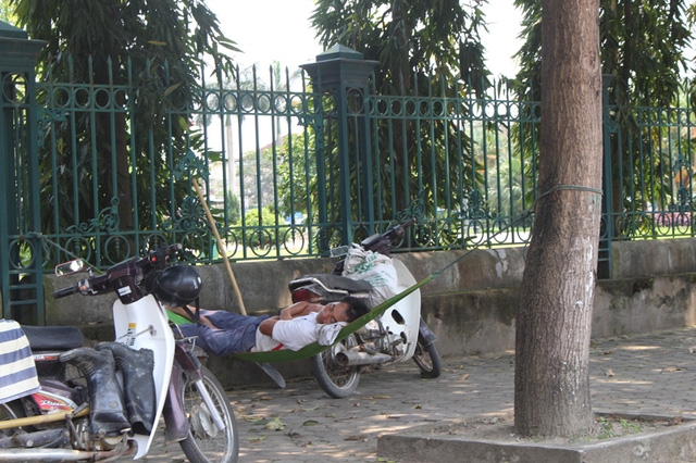  Giấc ngủ trưa tránh nắng dưới bóng cây của bác thợ hồ. 