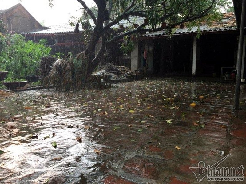 mưa đá, Hà Nội mưa đá, thời tiết bất thường