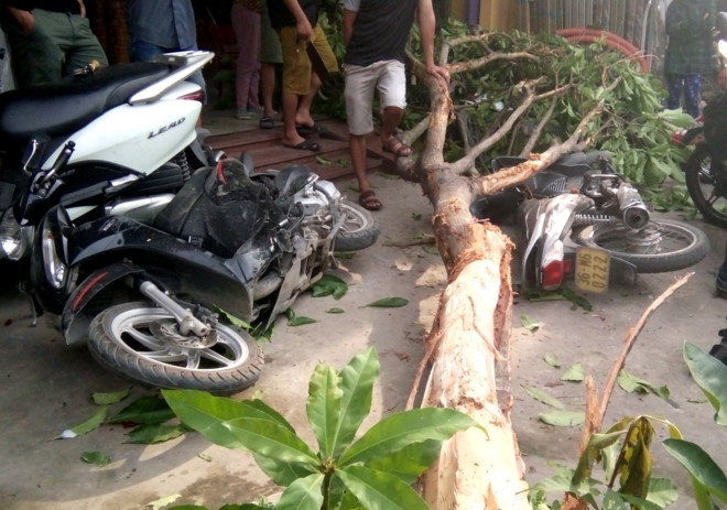 Toyota Camry tong 5 xe may sau cu va cham voi oto Lexus hinh anh 2