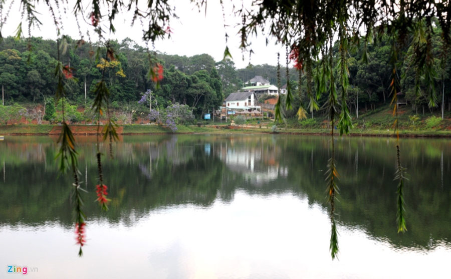 Mua he ve thien duong sinh thai Mang Den hinh anh 6